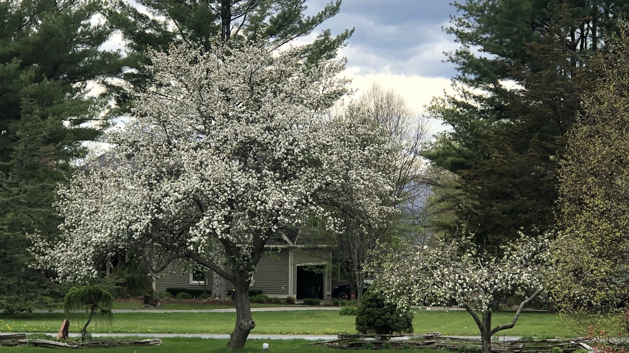Photo of Outdoor in Charlotte