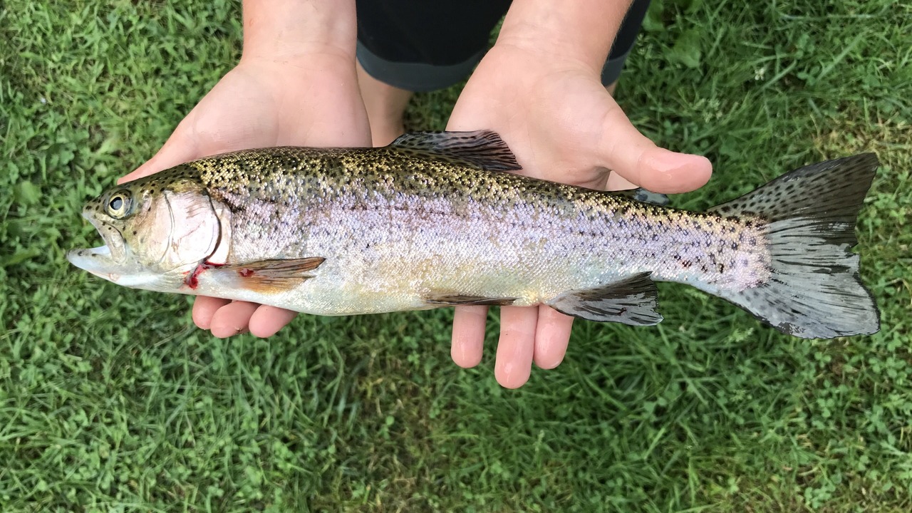 Photo of Outdoor in French Creek