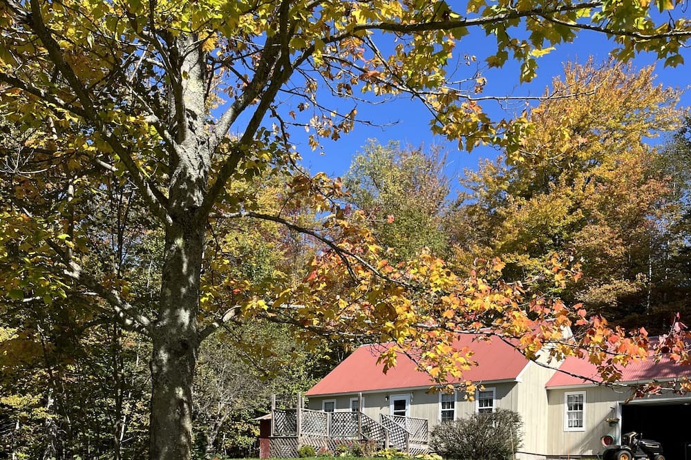 Photo of Outdoor in Weston