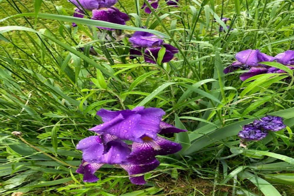 Photo of Outdoor in Weston