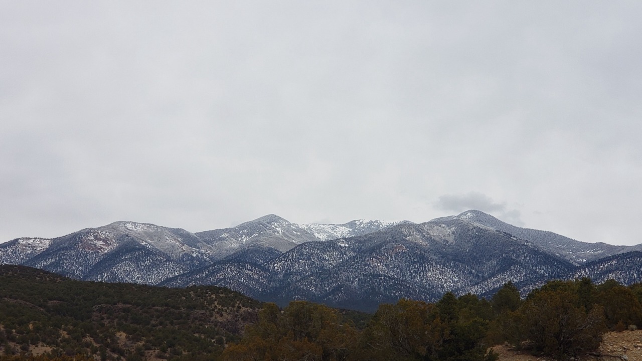 Photo of Others in Arroyo Hondo
