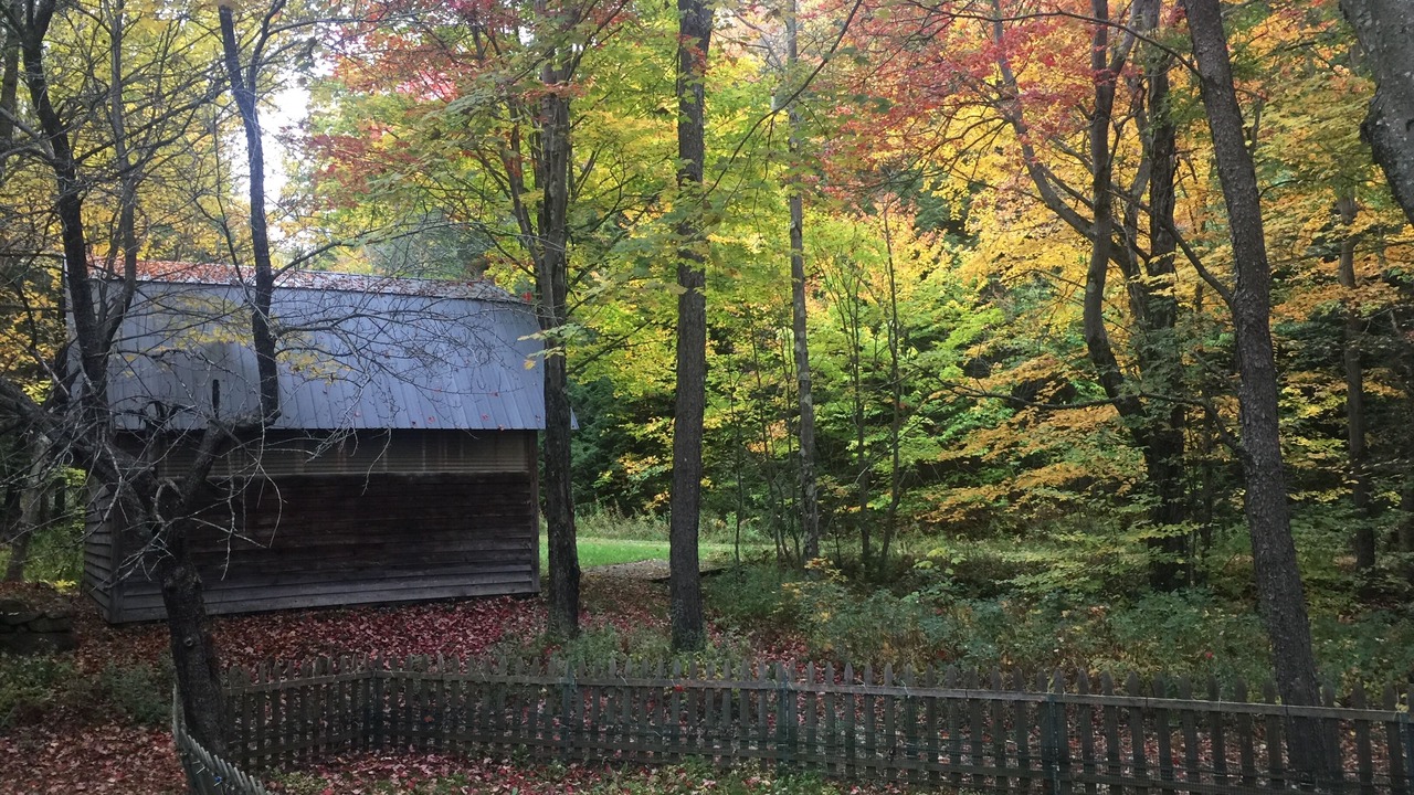 Photo of Outdoor in Wilmington