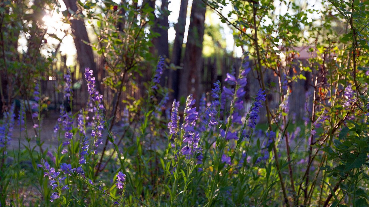 Photo of Outdoor in Taos