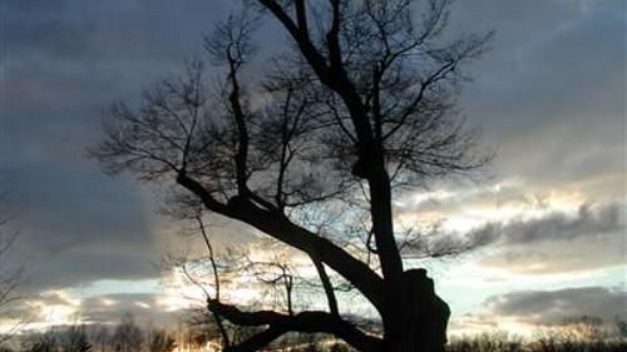 Photo of Others in Spotsylvania
