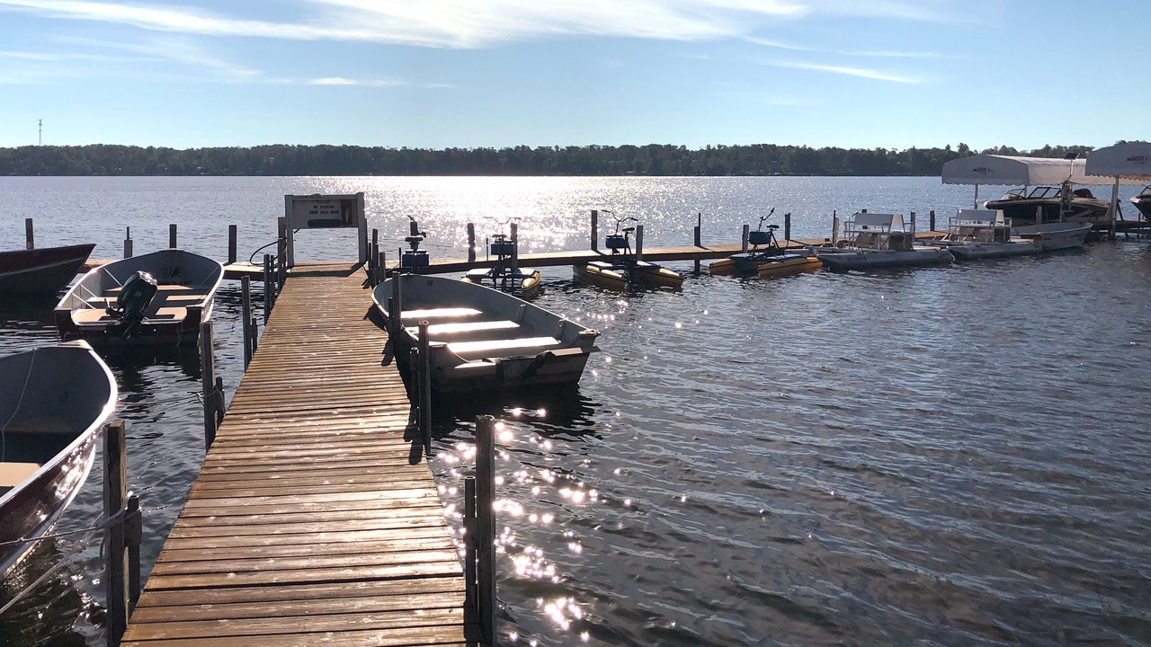 Photo of Others in East Gull Lake