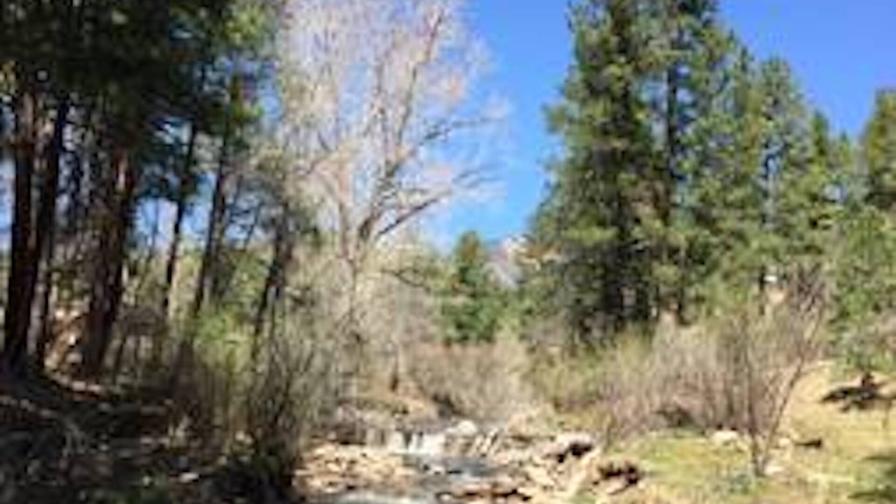 Photo of Outdoor in El Porvenir