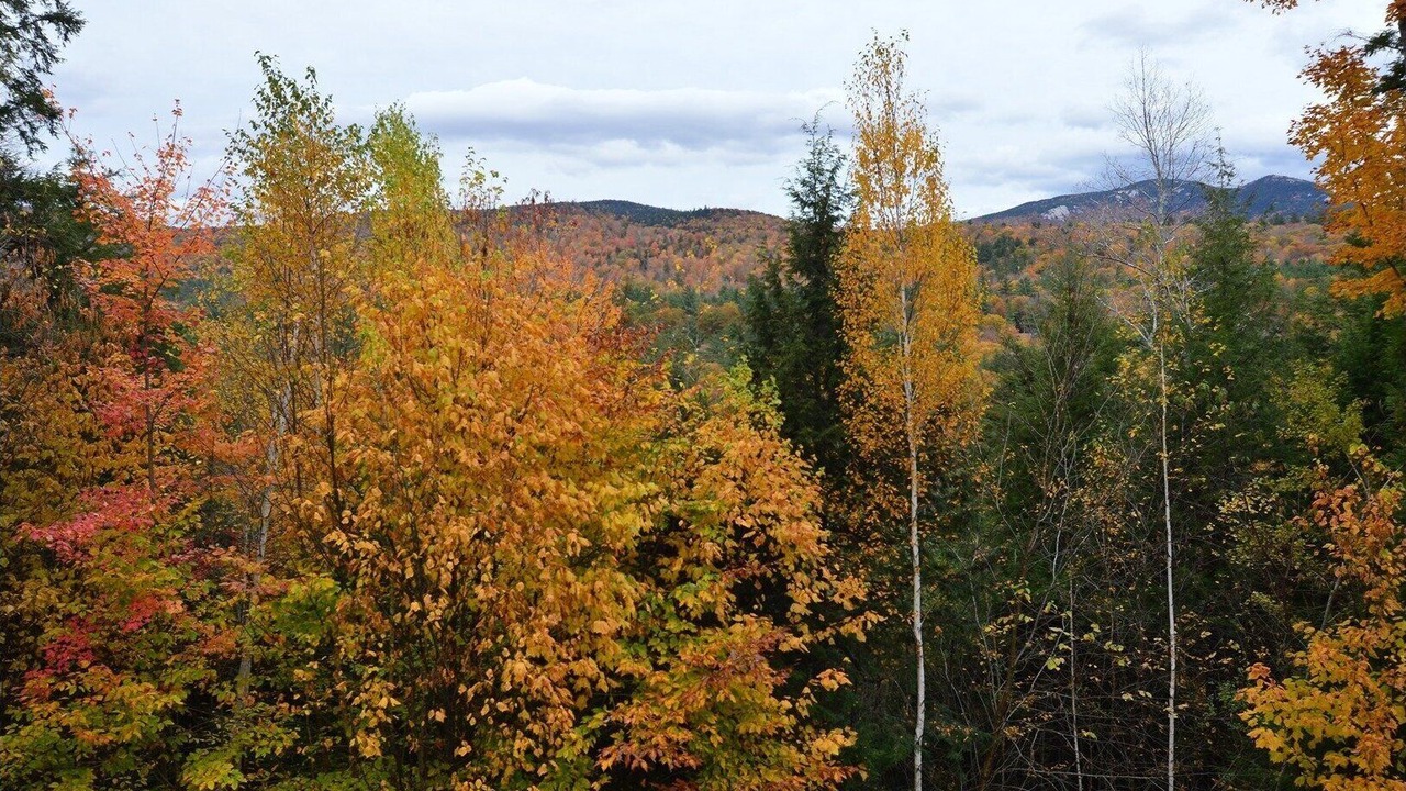 Photo of Outdoor in Thornton