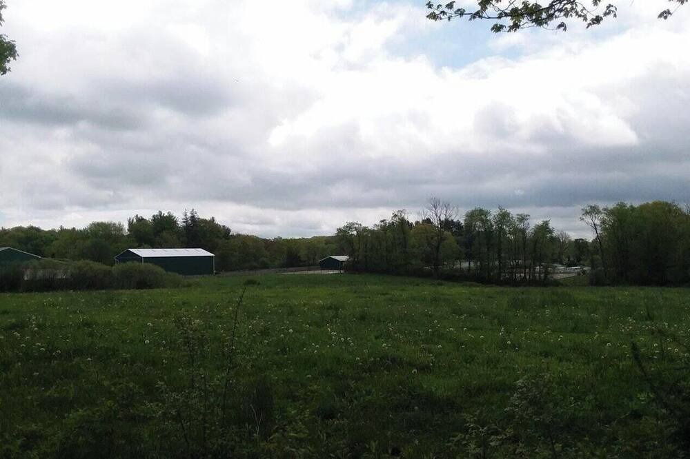 Photo of Others in Litchfield