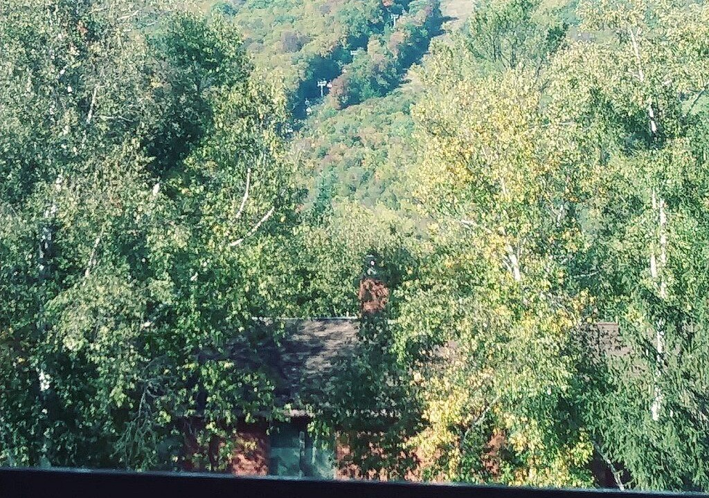 Photo of Outdoor in North Creek