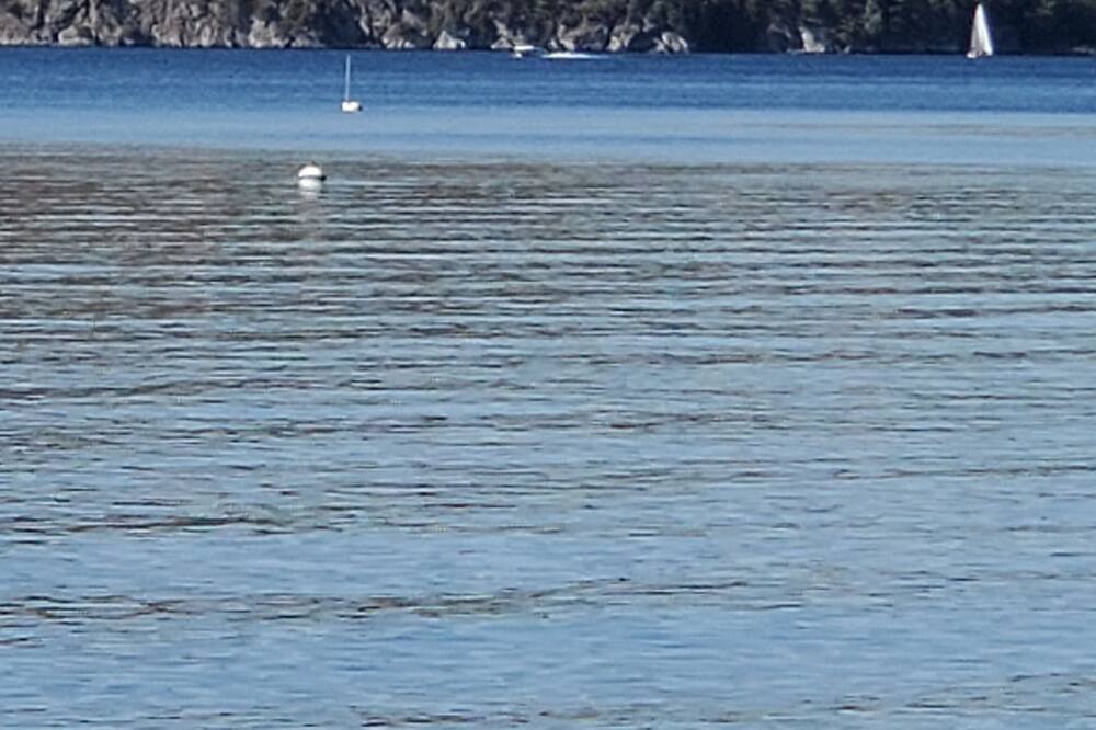 Photo of Others in Willsboro