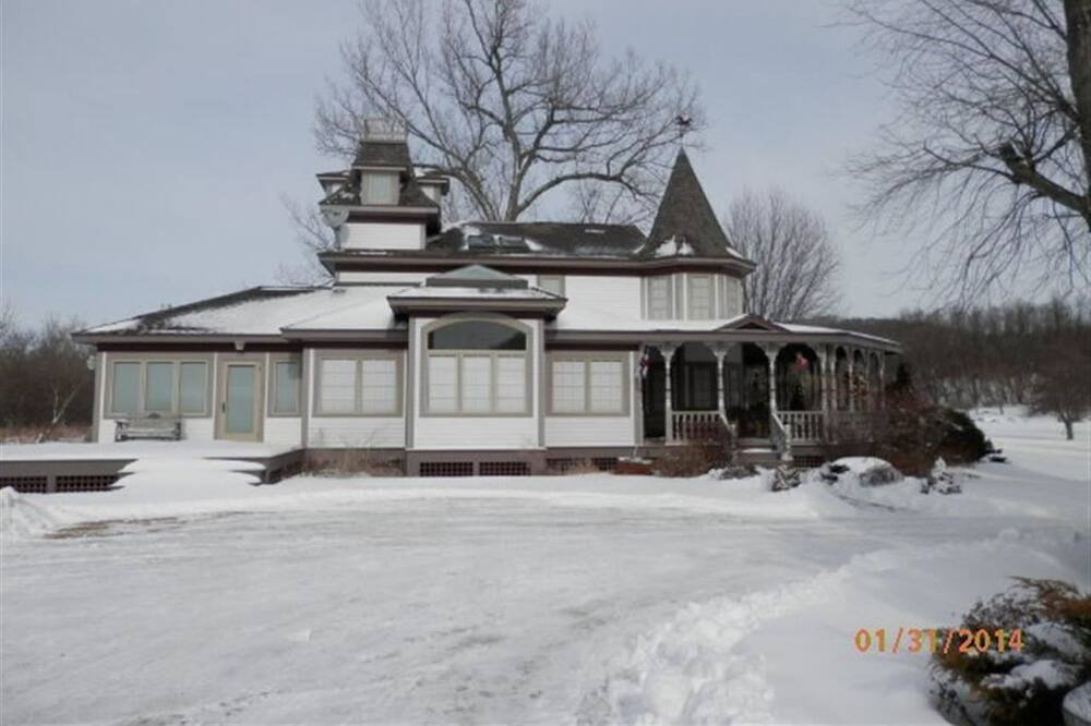 Photo of Outdoor in Viola