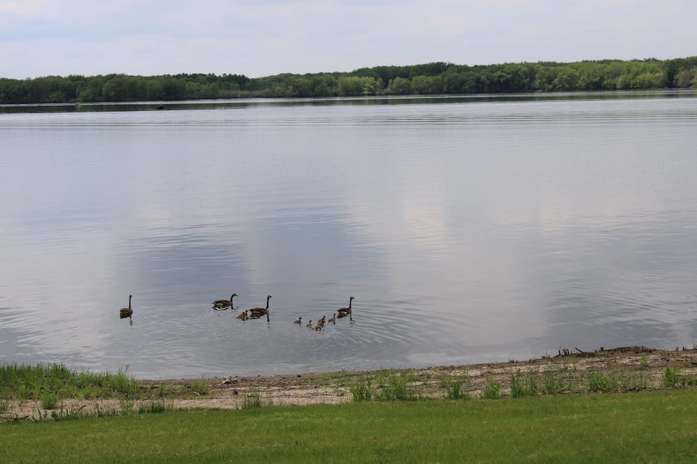Photo of Others in Clear Lake