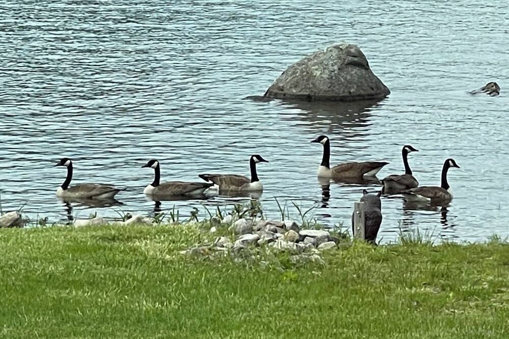 Photo of Outdoor in Au Sable Forks
