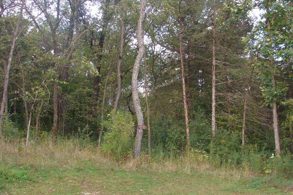 Photo of Outdoor in Decorah