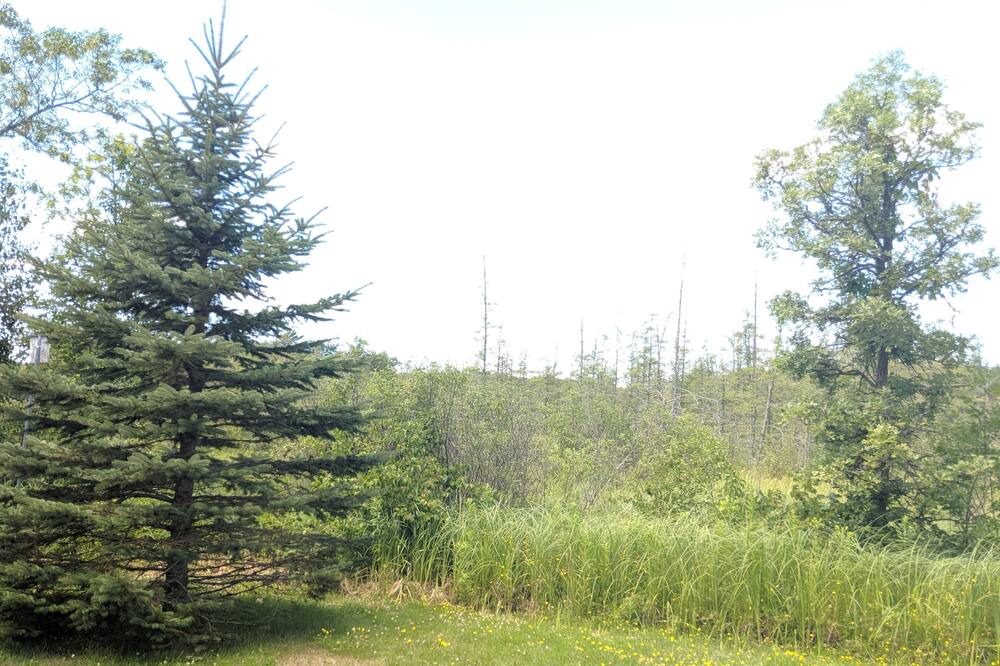 Photo of Outdoor in Siren