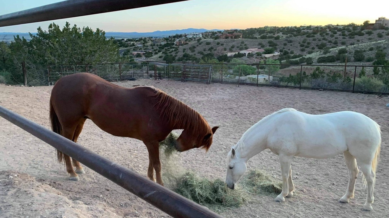Photo of Outdoor in Placitas