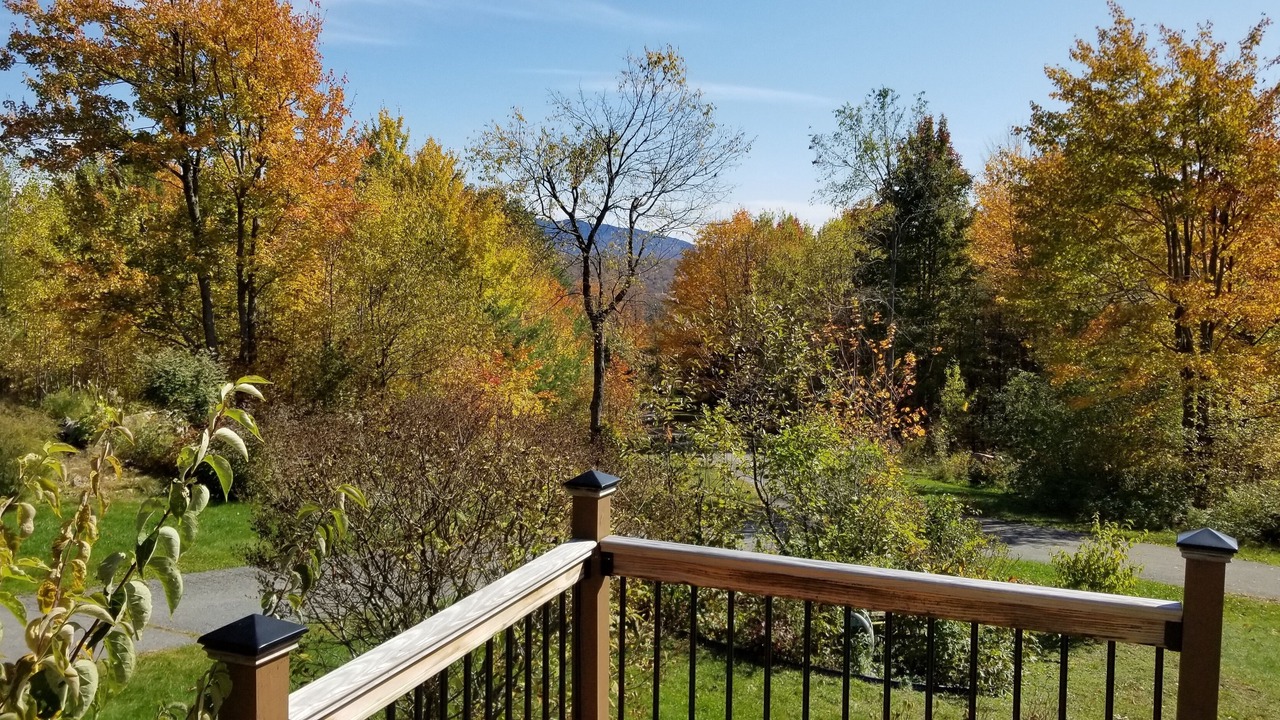 Photo of Outdoor in Harrietstown