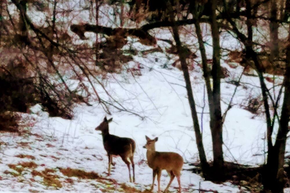Photo of Others in Pepin