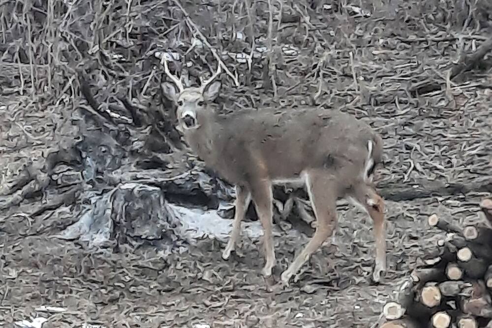 Photo of Others in Pepin