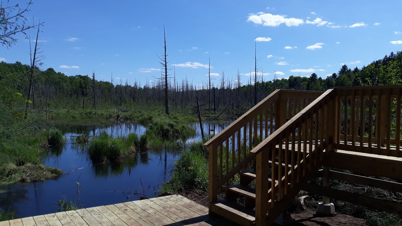 Photo of Outdoor in Malone
