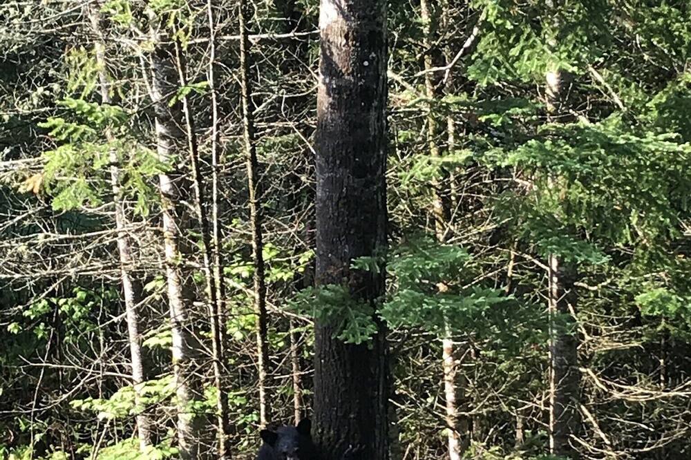 Photo of Outdoor in Bretton Woods