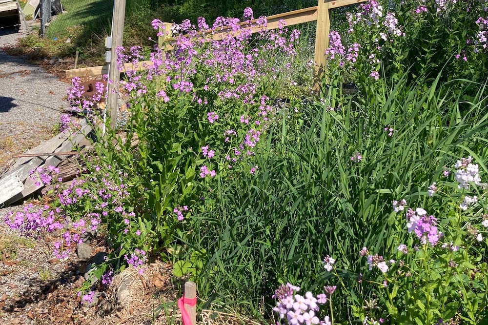 Photo of Outdoor in Bridgeport