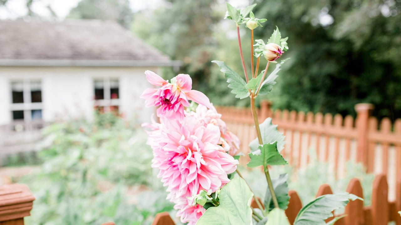 Photo of Outdoor in Red Wing