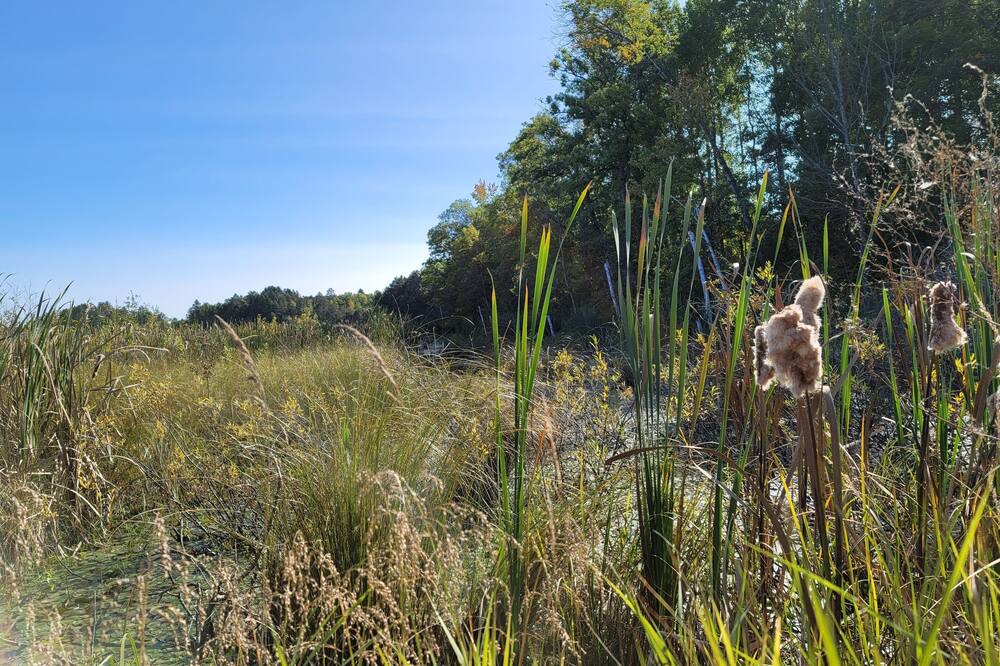 Photo of Outdoor in Trego