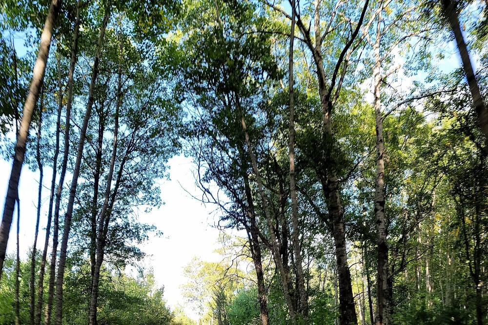 Photo of Outdoor in Trego