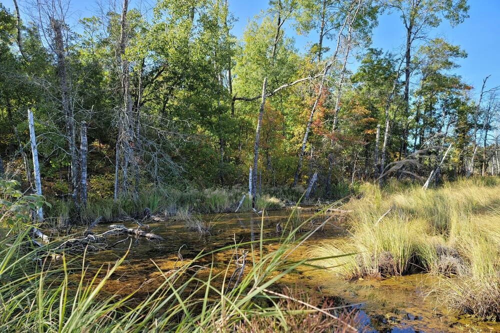 Photo of Outdoor in Trego