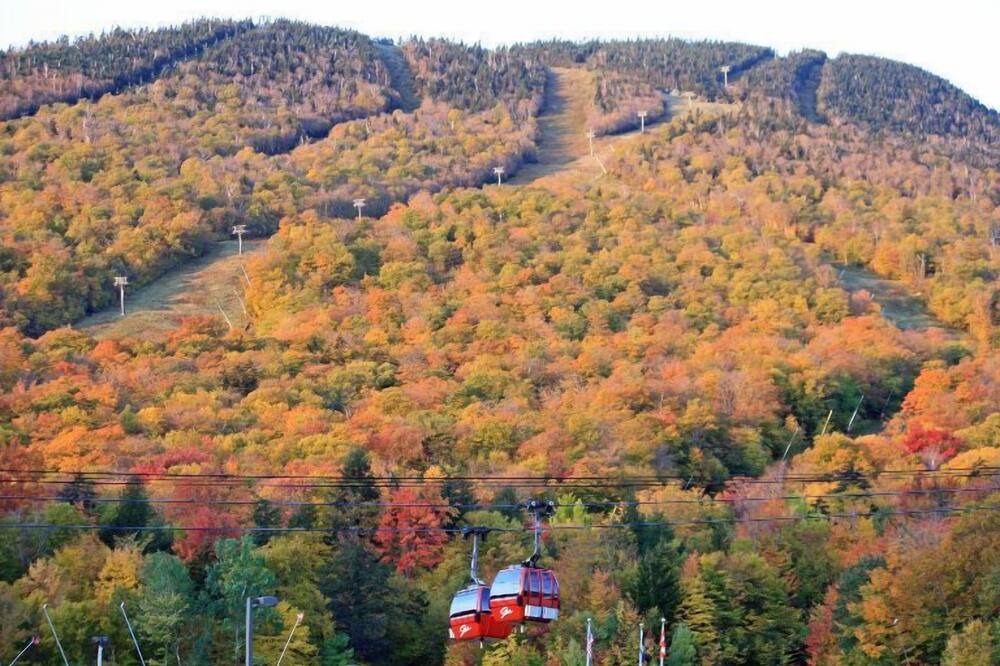 Photo of Others in Stowe Area