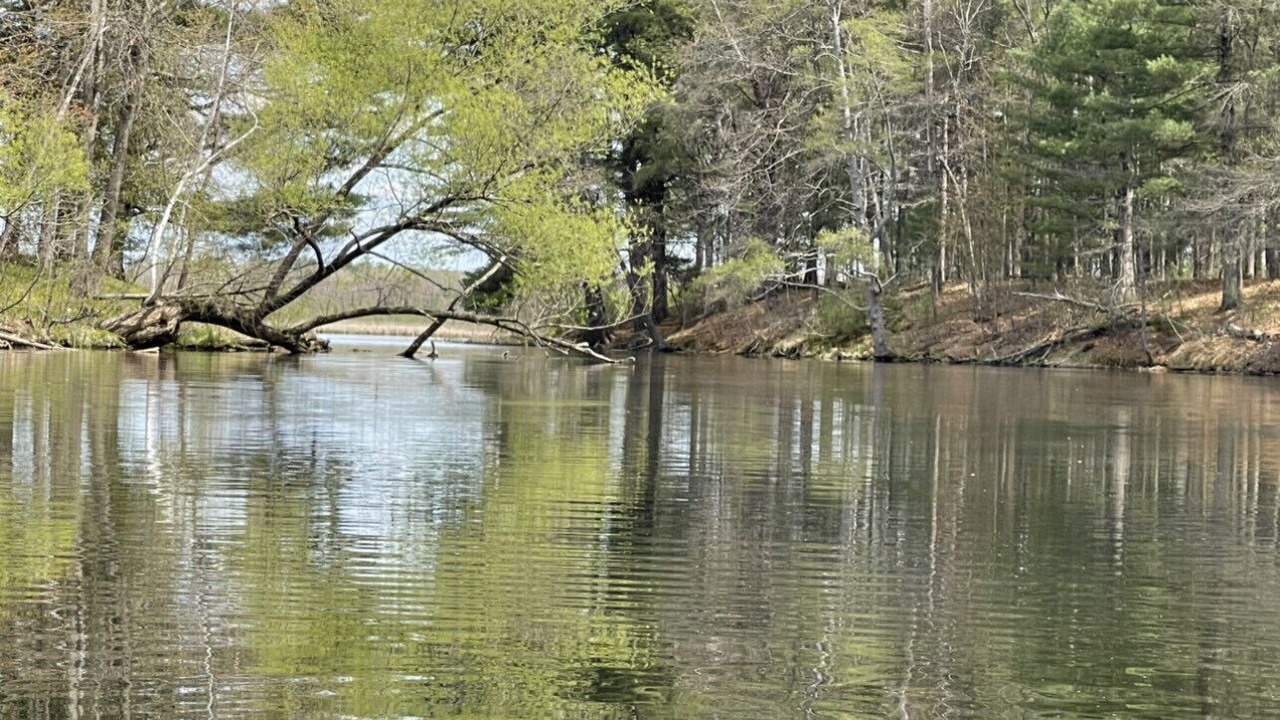 Photo of Outdoor in Spooner