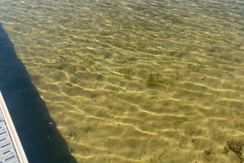 Photo of Others in Forest Lake