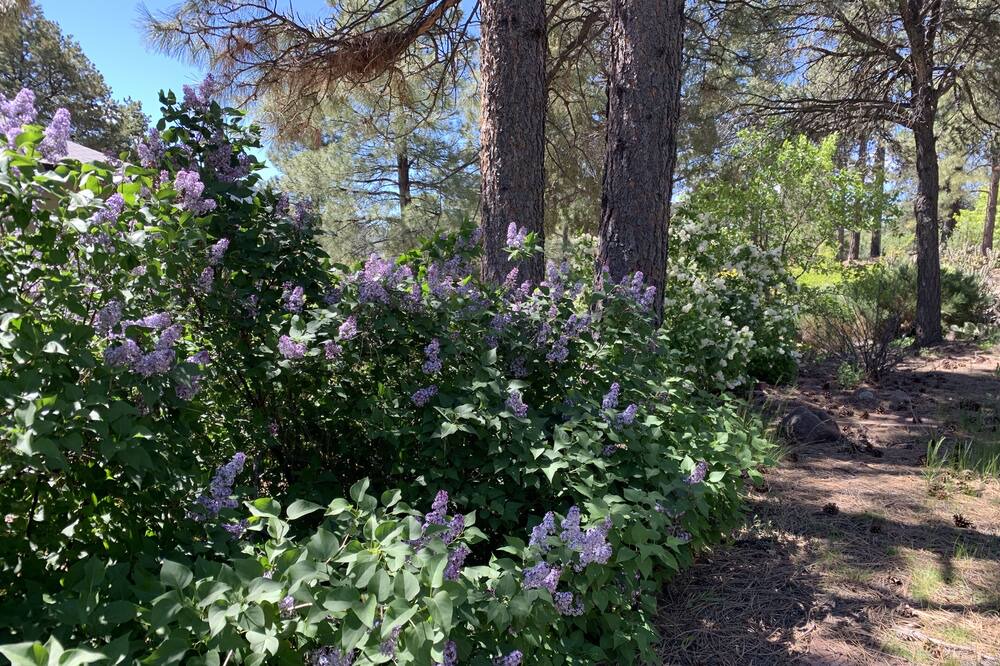 Photo of Outdoor in Jemez Springs