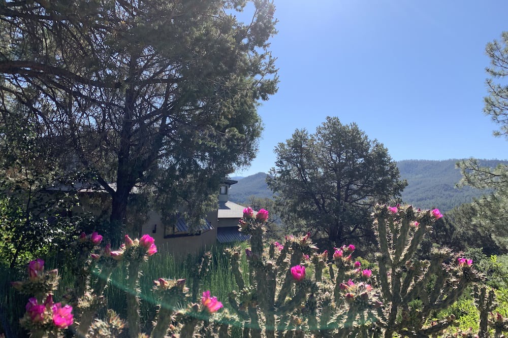 Photo of Outdoor in Jemez Springs