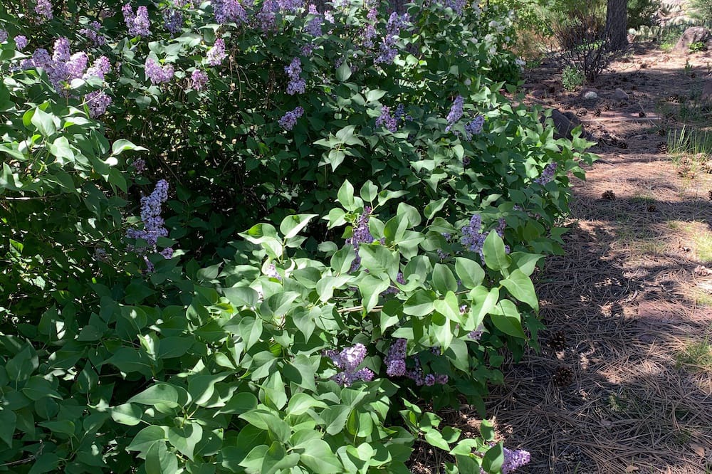 Photo of Outdoor in Jemez Springs