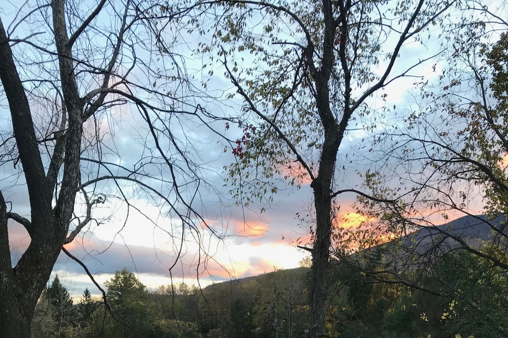 Photo of Outdoor in Dorset