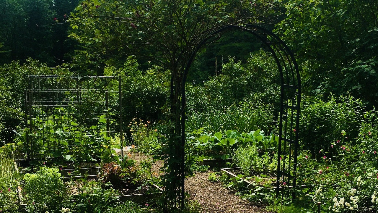 Photo of Outdoor in Putney
