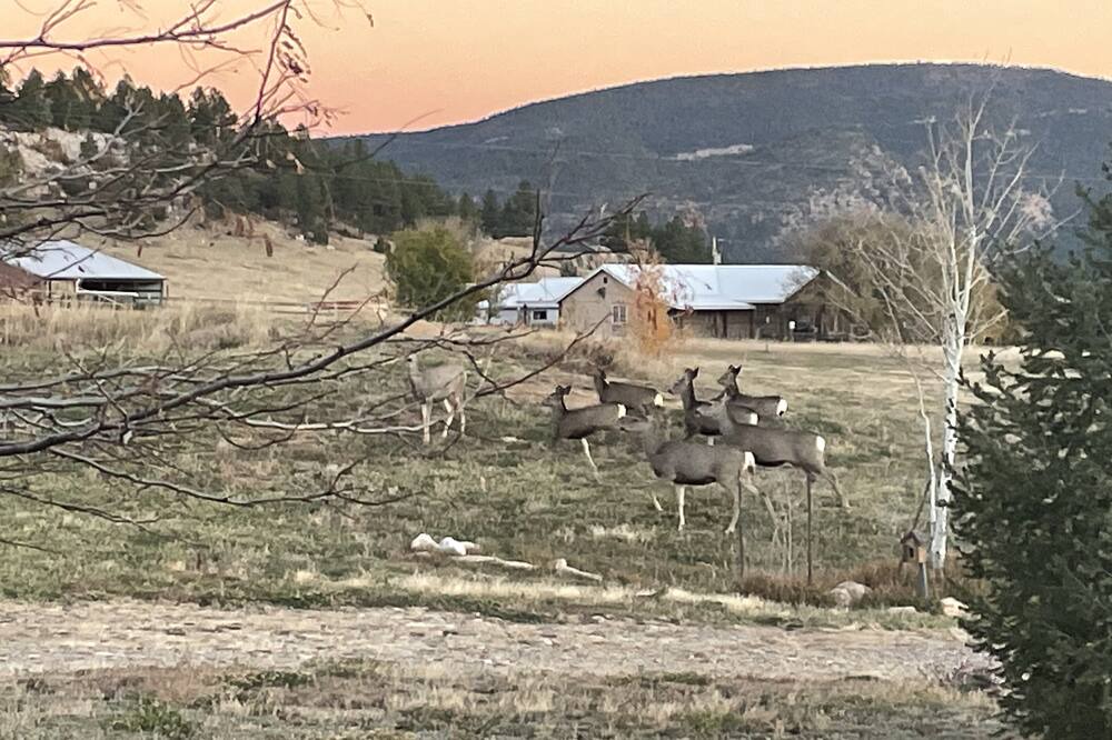Photo of Outdoor in Holman
