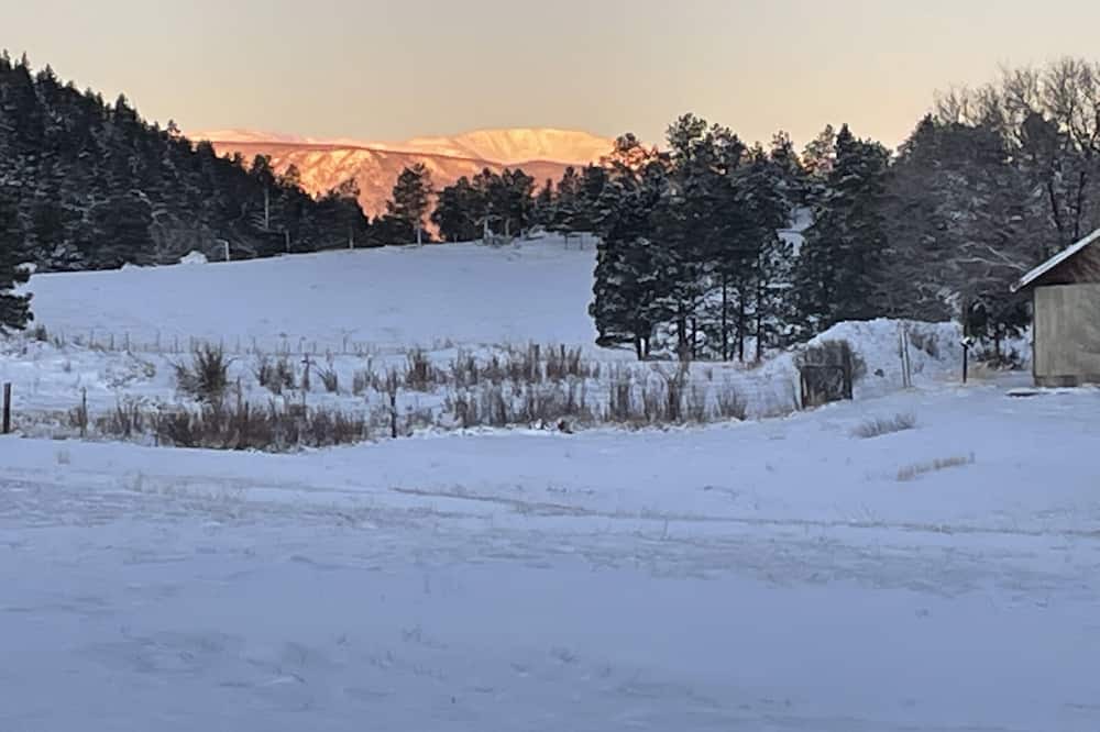 Photo of Others in Holman