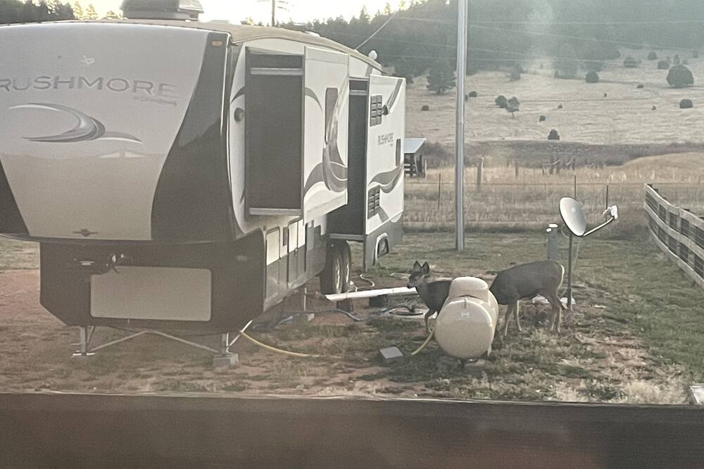 Photo of Others in Holman
