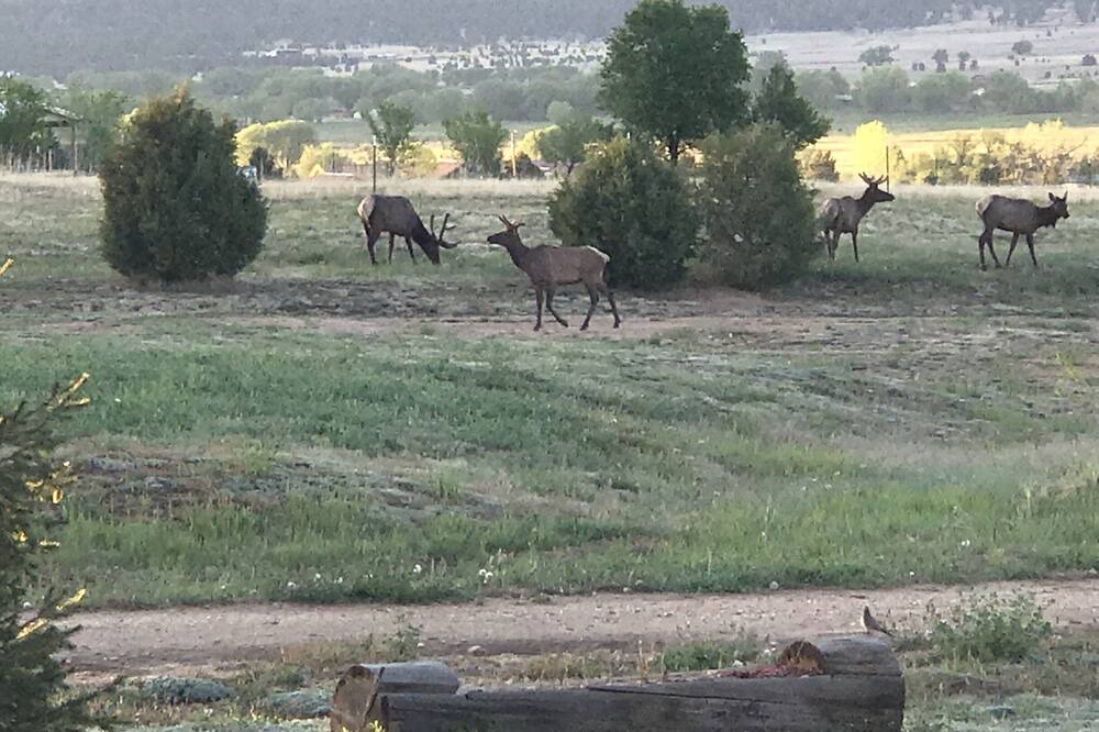 Photo of Outdoor in Holman