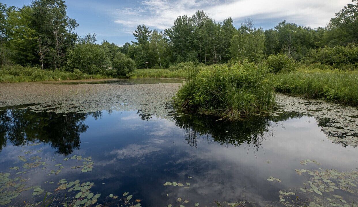 Photo of Outdoor in Pine City