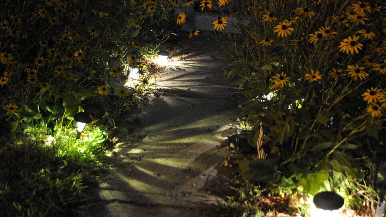 Photo of Outdoor in Longmeadow
