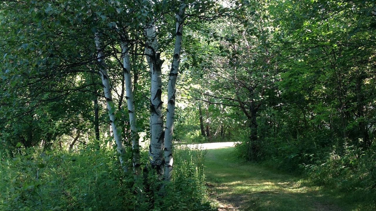 Photo of Outdoor in Churubusco