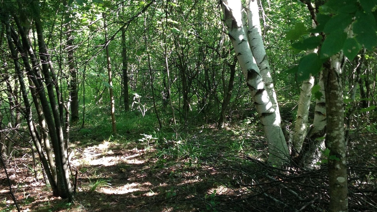 Photo of Outdoor in Churubusco