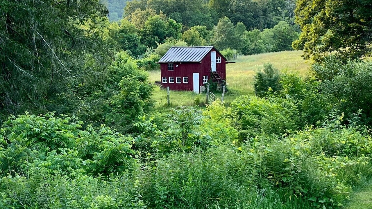 Photo of Outdoor in Marble Dale