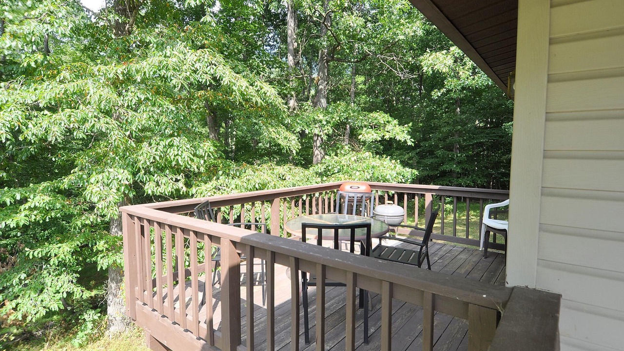 Photo of Others in Great Cacapon