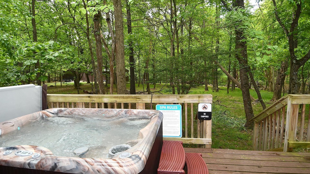 Photo of Outdoor in The Woods