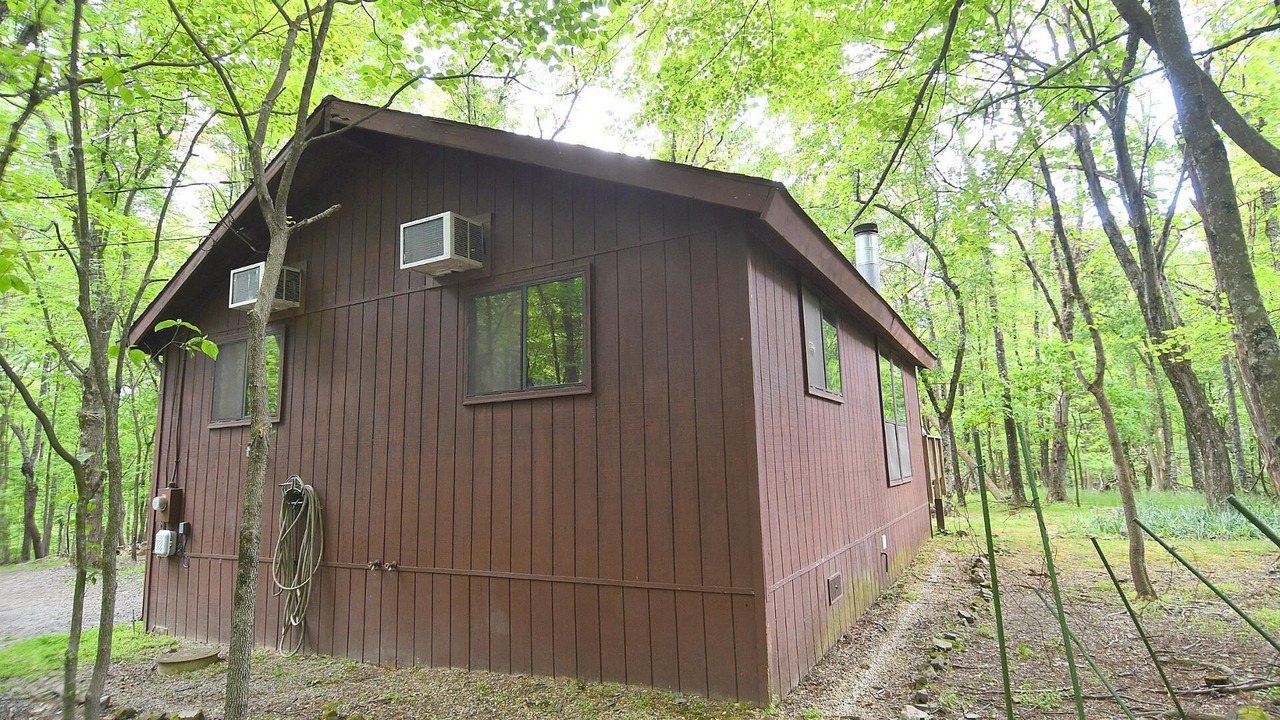 Photo of Outdoor in The Woods